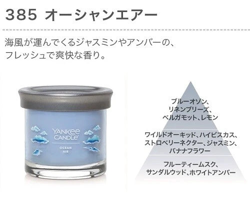 YCシグネチャータンブラーS / YC Signature Tumbler S