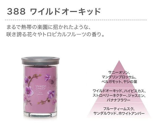 YCシグネチャータンブラー2ウィック / YC Signature Tumbler 2Wick