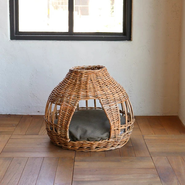 ねこハウス オニオン -バイ ジ アラログ- / Cat House Onion -By The AROROG-