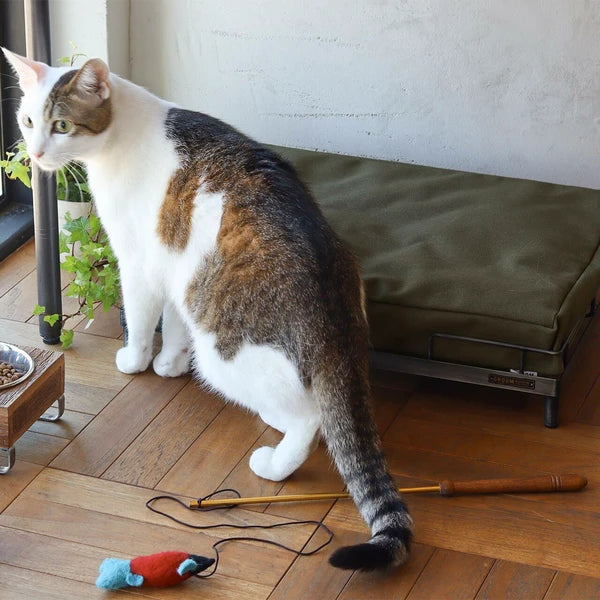 アイアンベッド / Iron Bed