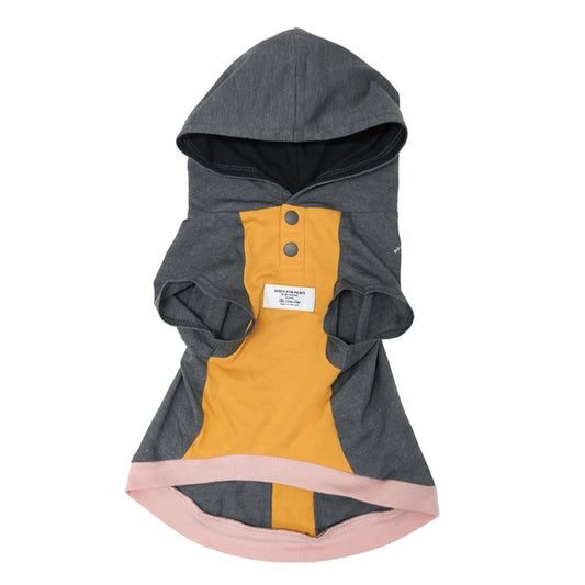 テックフーディー / Tech Foodie