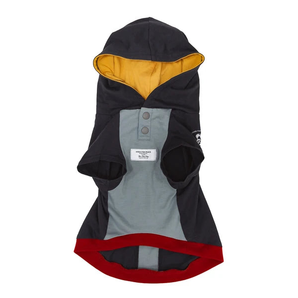 テックフーディー / Tech Foodie