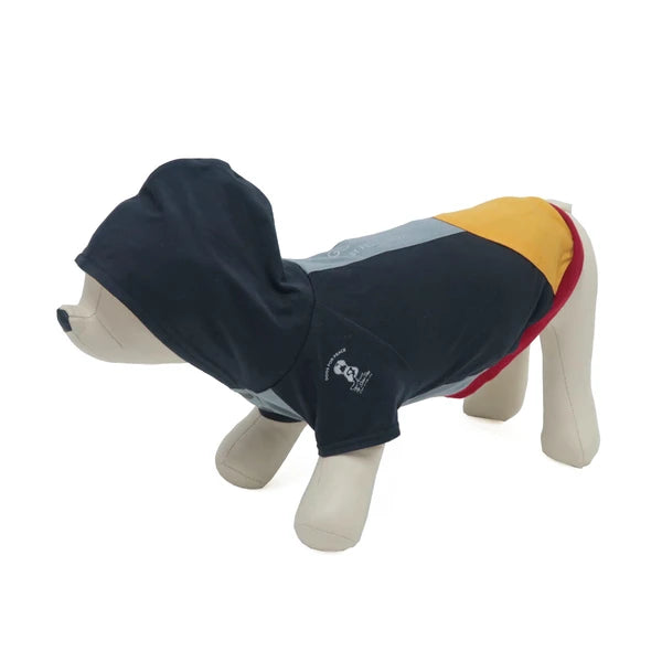 テックフーディー / Tech Foodie