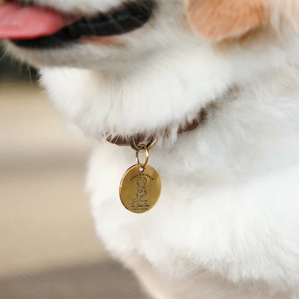 クライミングロープカラー / Climbing Rope Collar