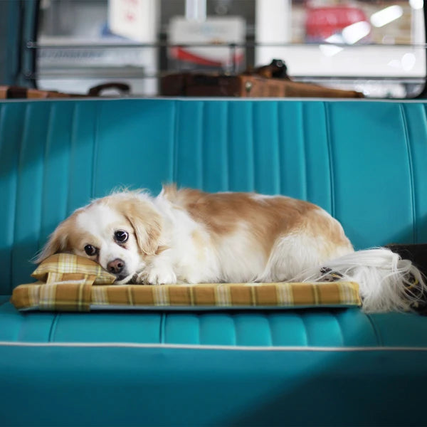 高反発ドッグマットレス / High Resilience Foam Mattress