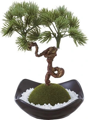 苔玉フレグランス / KOKEDAMA Fragrance