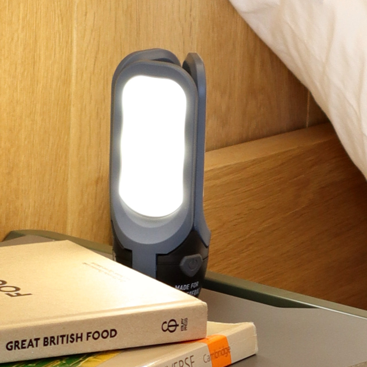 TRI-PANEL SOLAR CHARGED LED LIGHT / トリ-パネル ソーラーチャージド エルイーディーライト