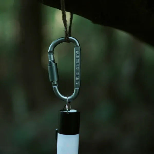 D字型 ロックカラビナ / D-shaped Locking Carabiner