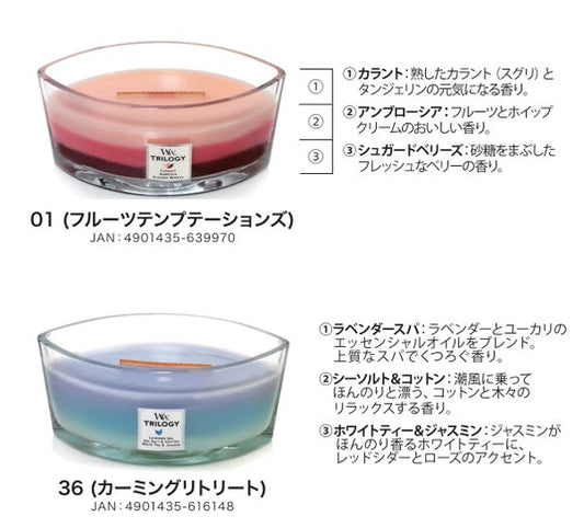 トリロジーハースウィックL / Trilogy Hearth Wick