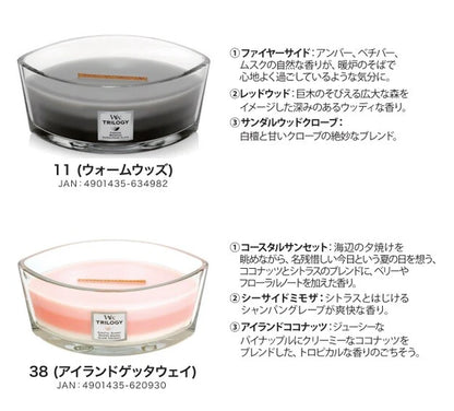 トリロジーハースウィックL / Trilogy Hearth Wick