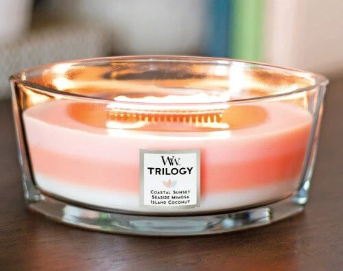 トリロジーハースウィックL / Trilogy Hearth Wick