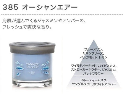 YCシグネチャータンブラーS / YC Signature Tumbler S