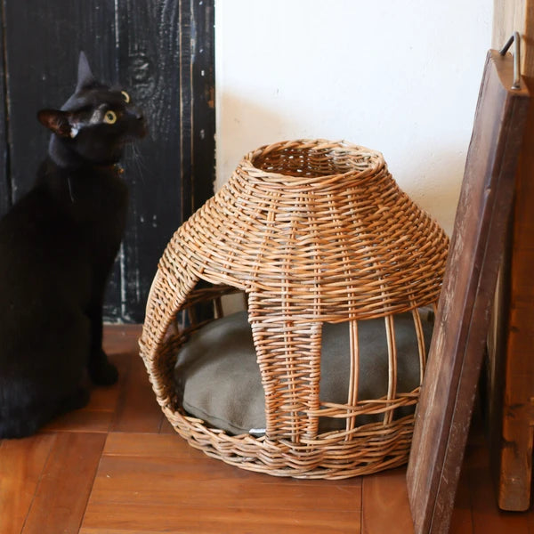 ねこハウス オニオン -バイ ジ アラログ- / Cat House Onion -By The AROROG-
