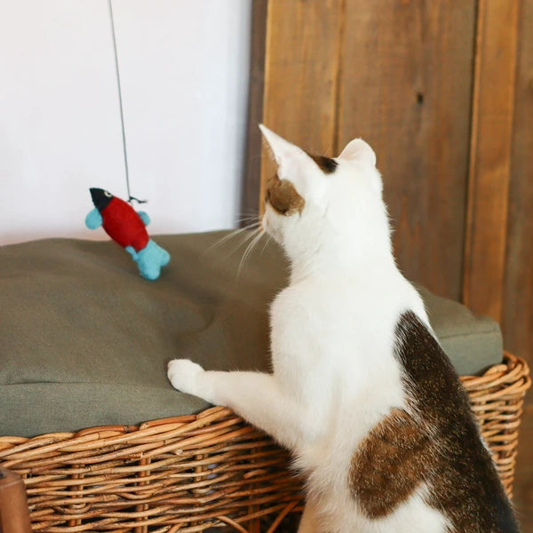 おもちゃ 単品 交換用 / Cat Toy