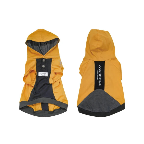 テックフーディー / Tech Foodie