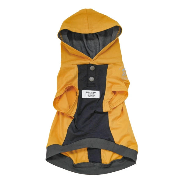 テックフーディー / Tech Foodie