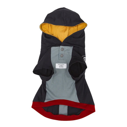 テックフーディー / Tech Foodie