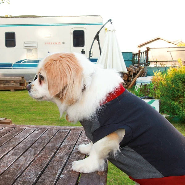 テックT-シャツ / Tech Tee