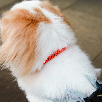 クライミングロープカラー / Climbing Rope Collar