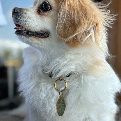 ドッグハウスチャーム＆モーテルキーチャーム / Dog House Charm & Motel Key Charm