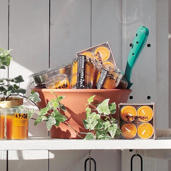 シトロネラティーライト ＜4個入り＞ / Citronella Tealight 4pcs