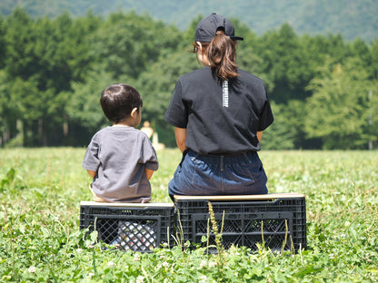 SOLID FOLDING CONTAINER 25/48