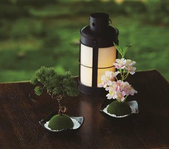 苔玉フレグランス / KOKEDAMA Fragrance