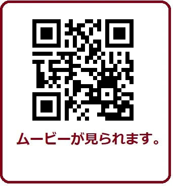 イルミネミニファイヤーランタン / Illumine Mini Fire Lantern