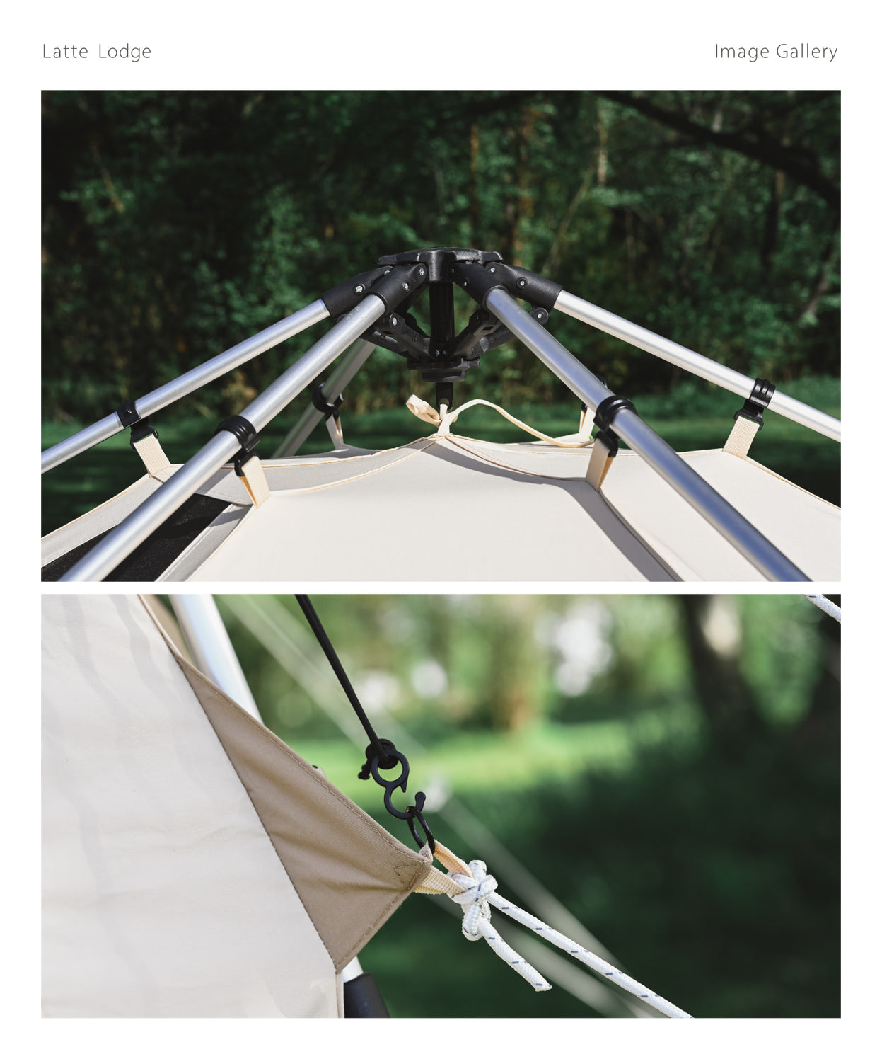 Latte Lodge ラテロッジ ワンタッチTCテント