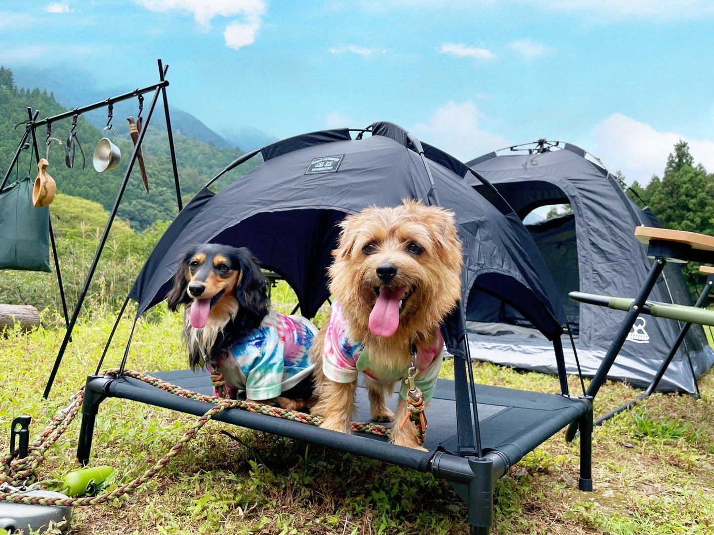 5050PET ANML TENT