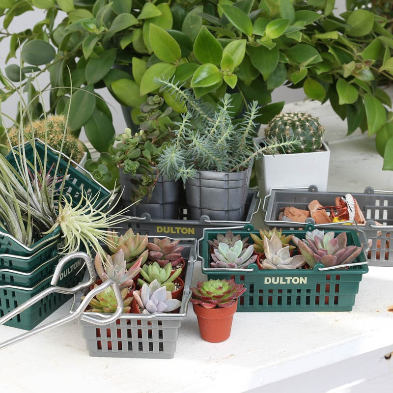 DESKTOP BASKET / デスクトップ バスケット