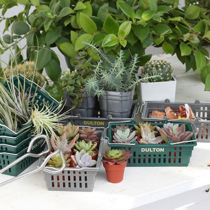 DESKTOP BASKET / デスクトップ バスケット