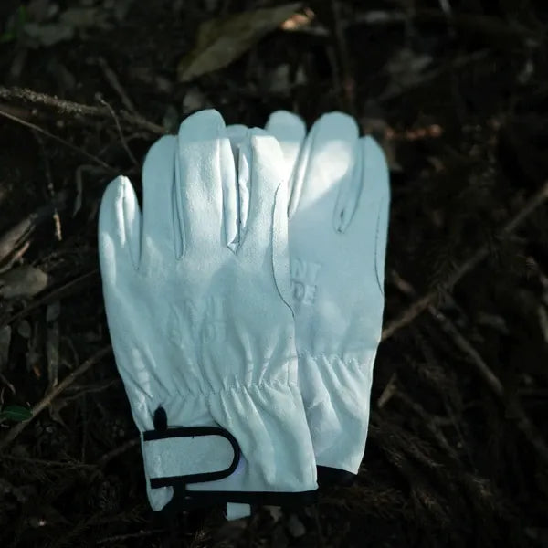 キャンプグローブ レジスタント / Camping Gloves Resistant