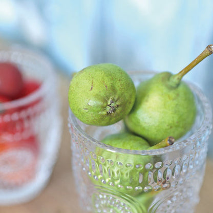 "MARGUERITE" SERIES / "マルグリット" シリーズ