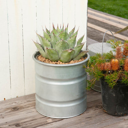 GALVANIZED TANK / ガルバナイズド タンク