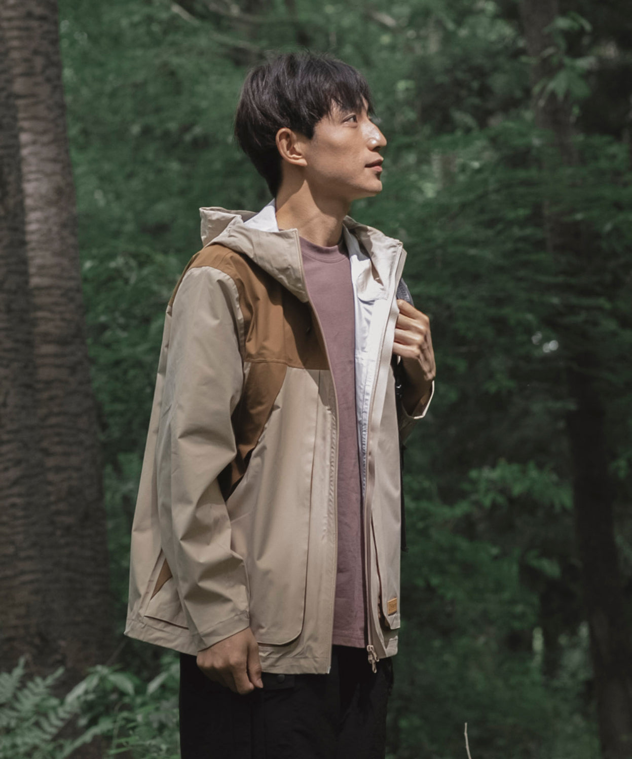 Mountain light jacket