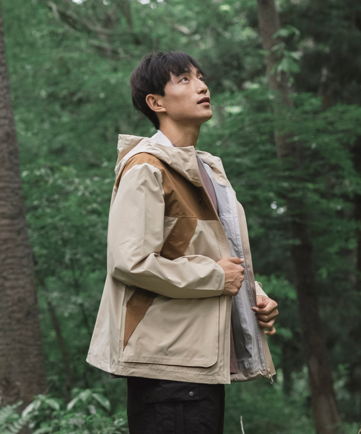 Mountain light jacket