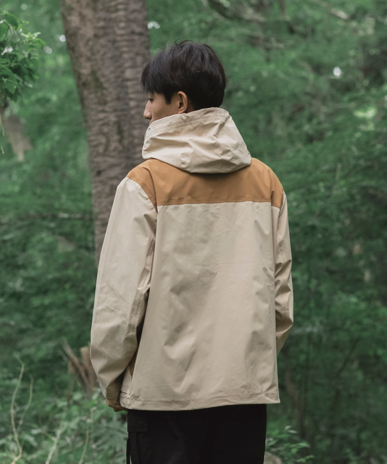 Mountain light jacket