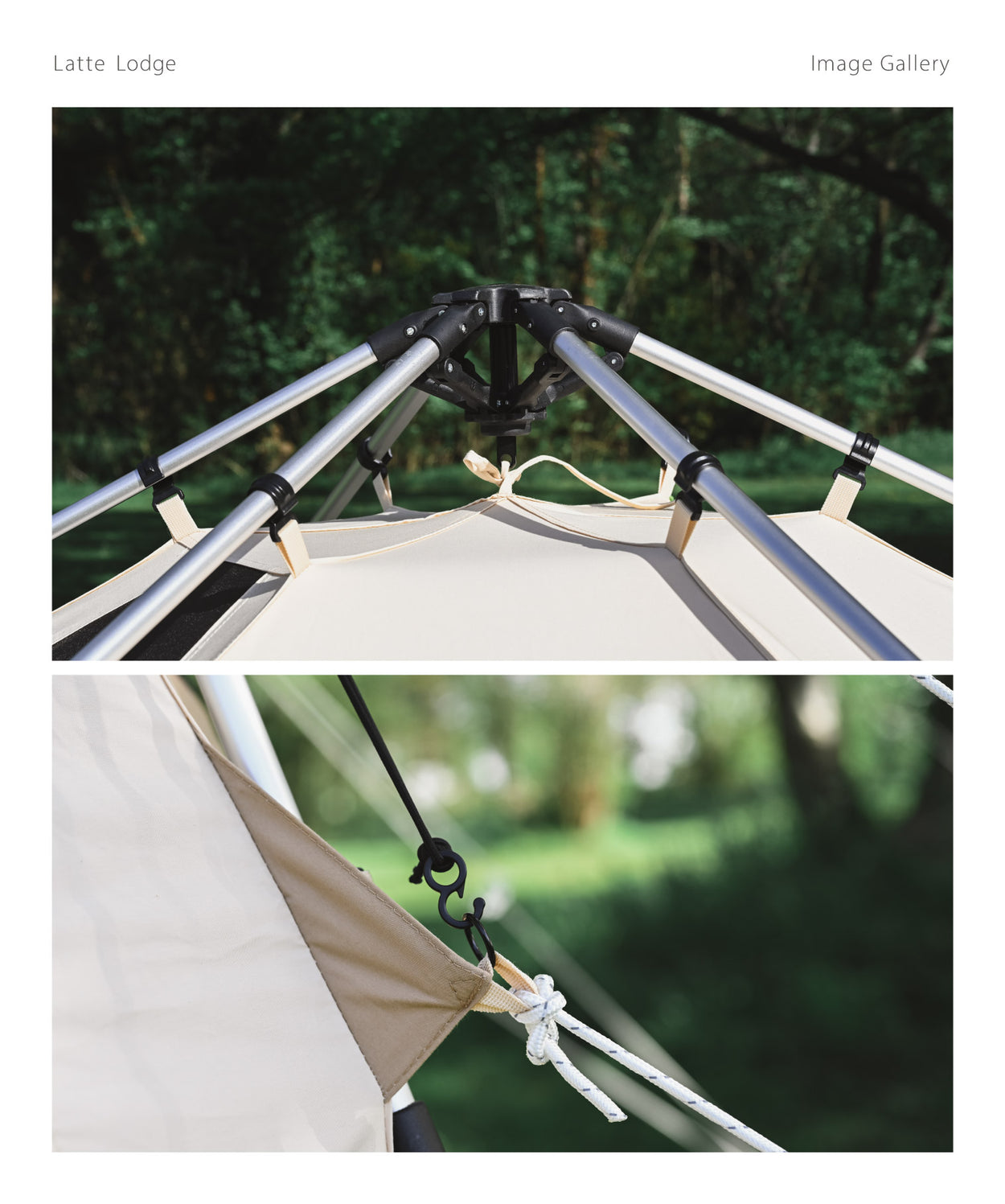 Latte Lodge ラテロッジ ワンタッチTCテント