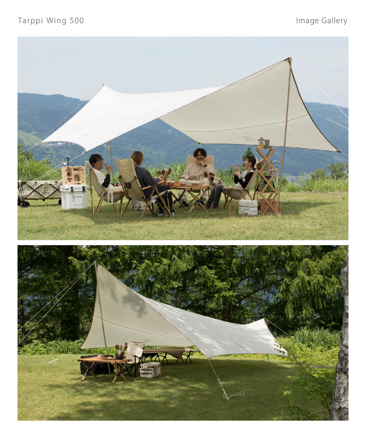 【 Tarppi Wing 500 】タープウイング500